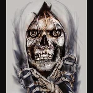 Meet your Posher, Brady